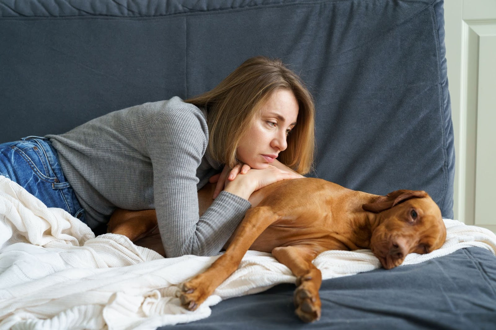 Hund hat 1 Tag keinen Stuhlgang: Ursachen und Lösungen