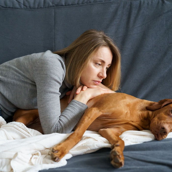 Hund hat 1 Tag keinen Stuhlgang