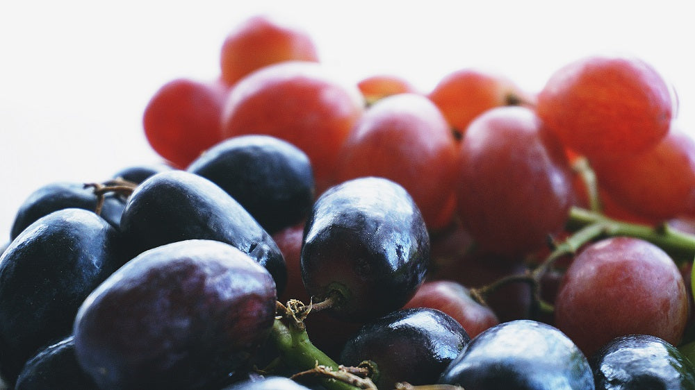 Fruchtfliegen loswerden
