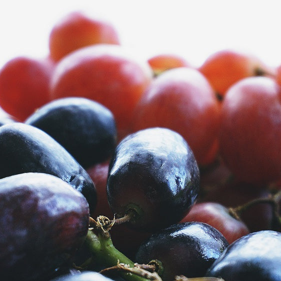 Fruchtfliegen loswerden