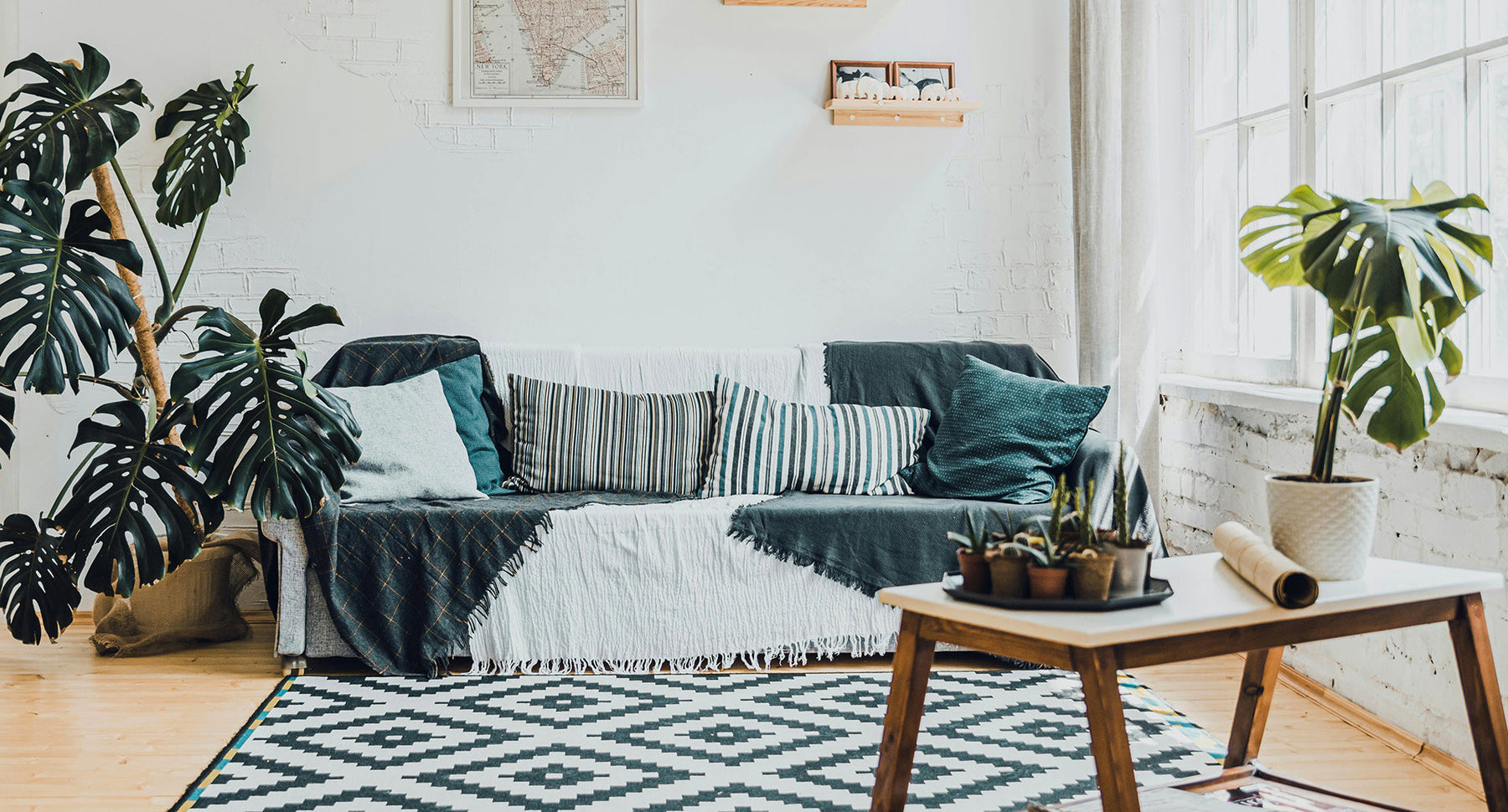 Geruchsentferner für die Wohnung: Die besten Lösungen im Überblick