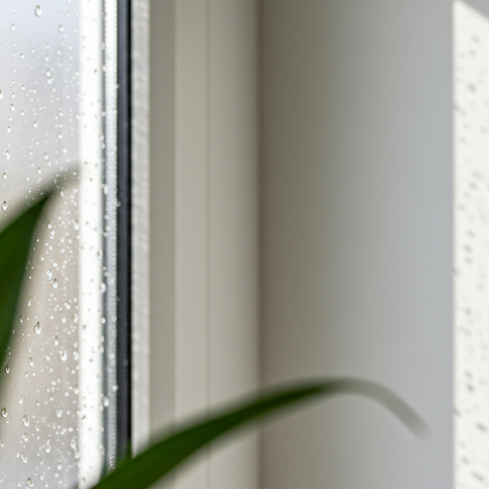 Schimmel am Fenster: Ursachen, Entfernung & Vorbeugung