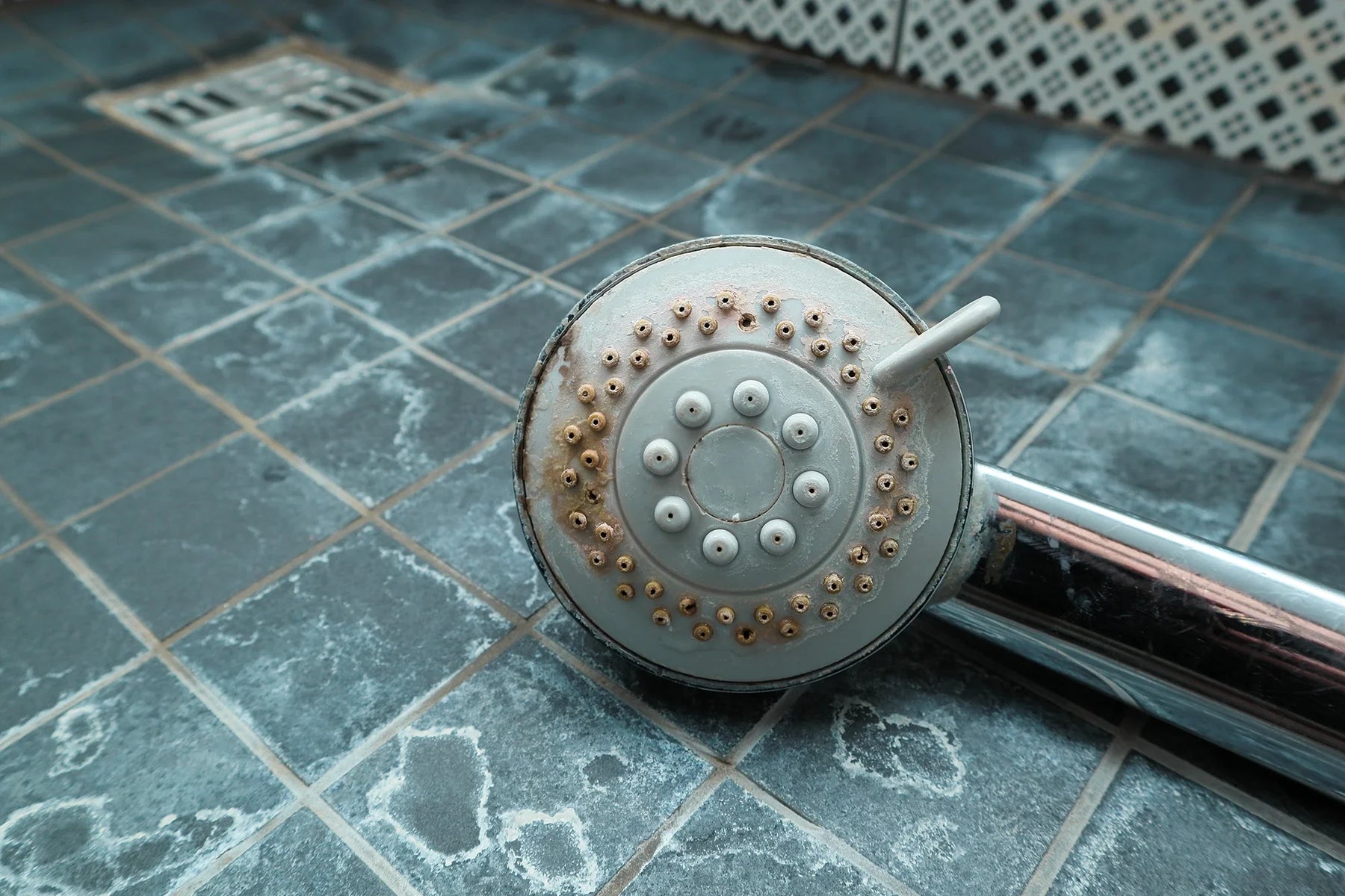 Schimmel in der Dusche entfernen – So wirst du schwarzen Schimmel dauerhaft los