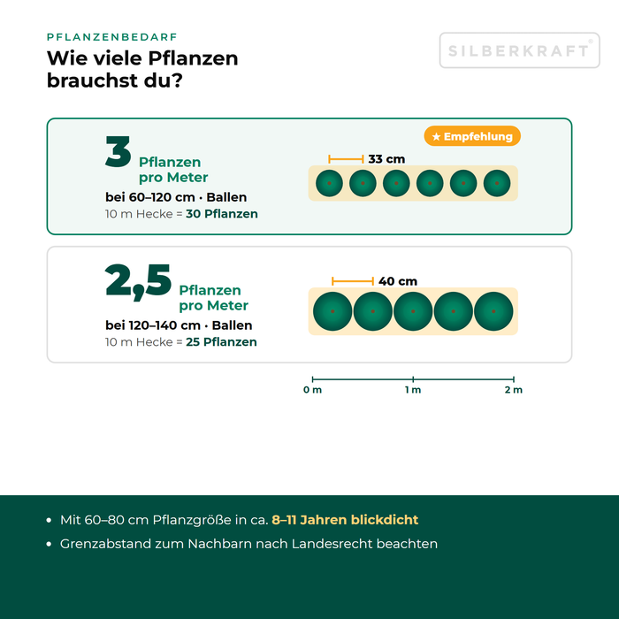 Pflanzenbedarf Gelbe Säulen-Eibe 'David': 2,5 bis 3 Pflanzen pro Meter Hecke je nach Größe, Pflanzabstand in der Draufsicht