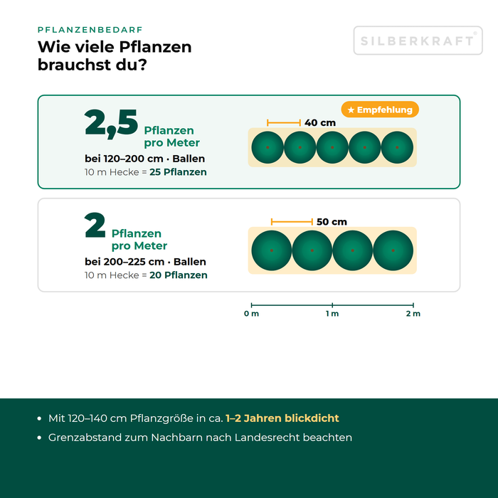 Pflanzenbedarf Riesen-Lebensbaum 'Excelsa': 2 bis 2,5 Pflanzen pro Meter Hecke je nach Größe, Pflanzabstand in der Draufsicht