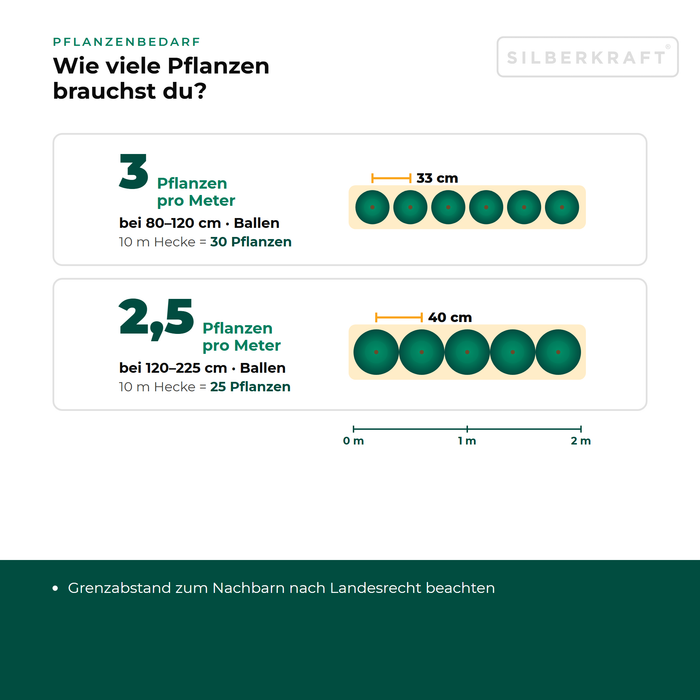 Pflanzenbedarf Riesen-Lebensbaum 'Martin': 2,5 bis 3 Pflanzen pro Meter Hecke je nach Größe, Pflanzabstand in der Draufsicht