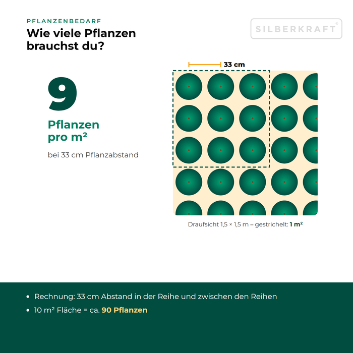 Pflanzenbedarf Ysander: ca. 9 Pflanzen pro m² bei 33 cm Pflanzabstand