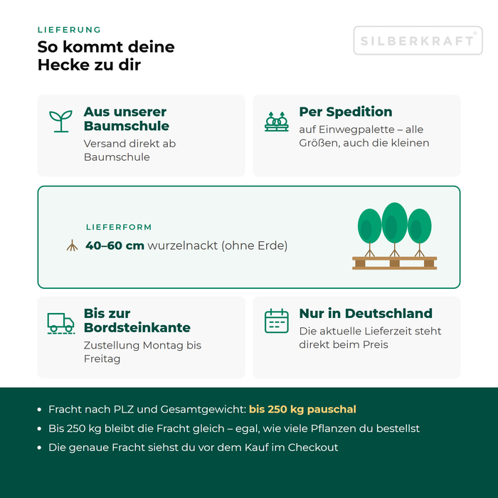 Lieferung Großblättrige Berberitze: aus unserer Baumschule per Spedition auf Einwegpalette bis zur Bordsteinkante, nur innerhalb Deutschlands, Fracht bis 250 kg pauschal