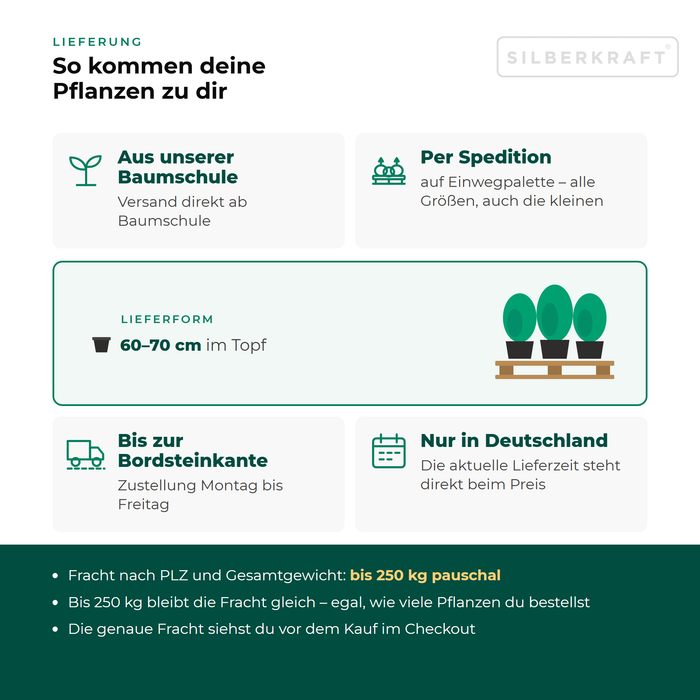 Lieferung Rhododendron 'Roseum Elegans': aus unserer Baumschule per Spedition auf Einwegpalette bis zur Bordsteinkante, nur innerhalb Deutschlands, Fracht bis 250 kg pauschal