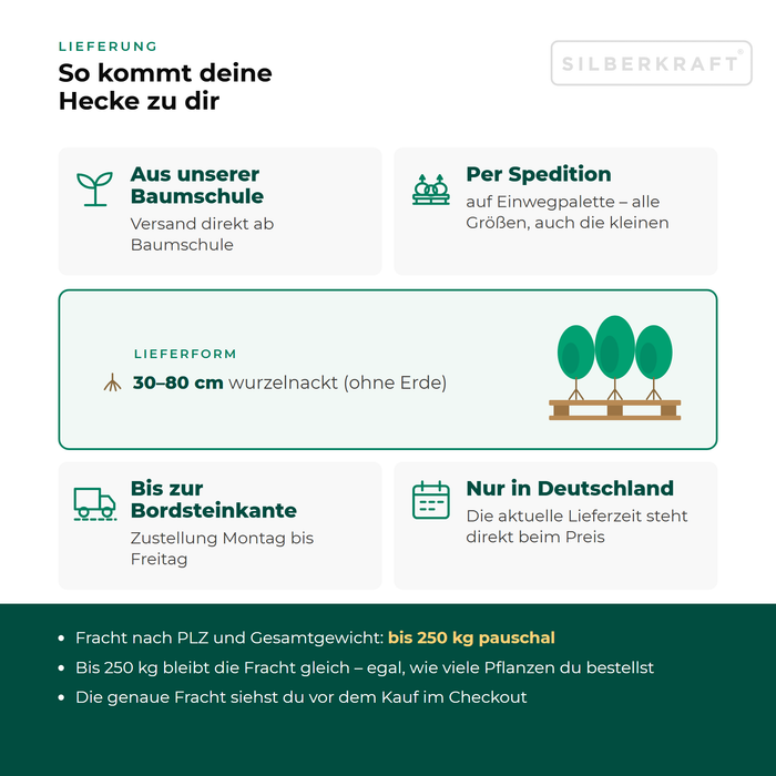 Lieferung Rote Heckenberberitze 'Atropurpurea': aus unserer Baumschule per Spedition auf Einwegpalette bis zur Bordsteinkante, nur innerhalb Deutschlands, Fracht bis 250 kg pauschal