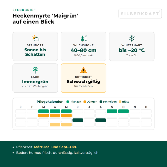 Steckbrief Heckenmyrte 'Maigrün': Standort Sonne bis Schatten, Wuchshöhe 40–80 cm, winterhart bis −20 °C – mit Pflegekalender