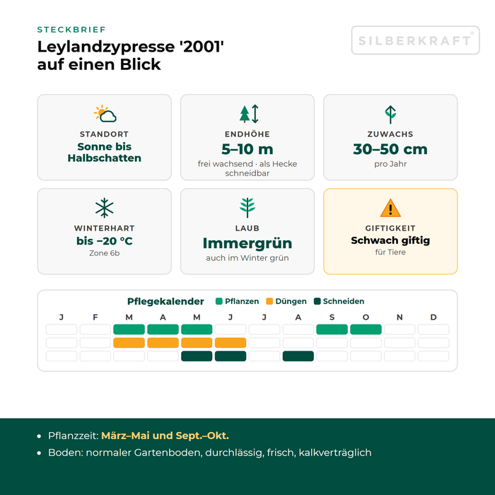 Steckbrief Leylandzypresse '2001': Standort Sonne bis Halbschatten, Endhöhe 5–10 m, Zuwachs 30–50 cm pro Jahr, winterhart bis −20 °C – mit Pflegekalender