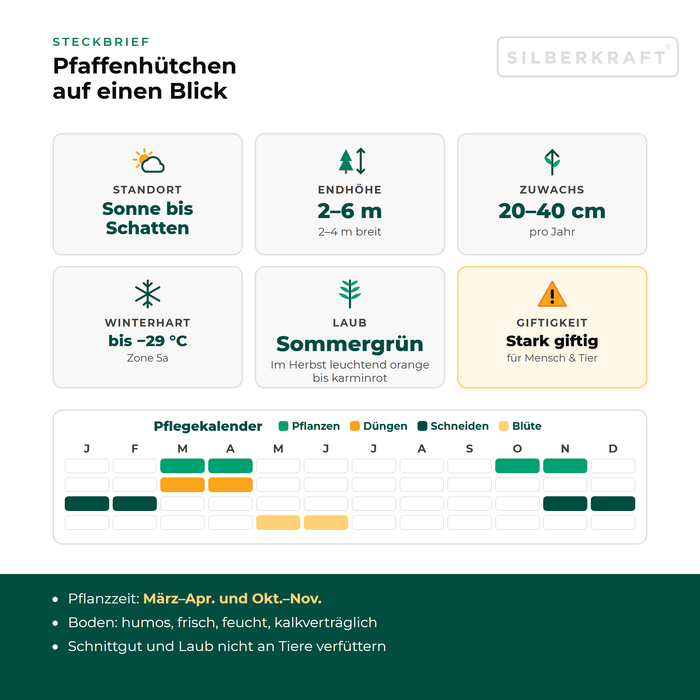 Steckbrief Pfaffenhütchen: Standort Sonne bis Schatten, Endhöhe 2–6 m, Zuwachs 20–40 cm pro Jahr, winterhart bis −29 °C – mit Pflegekalender