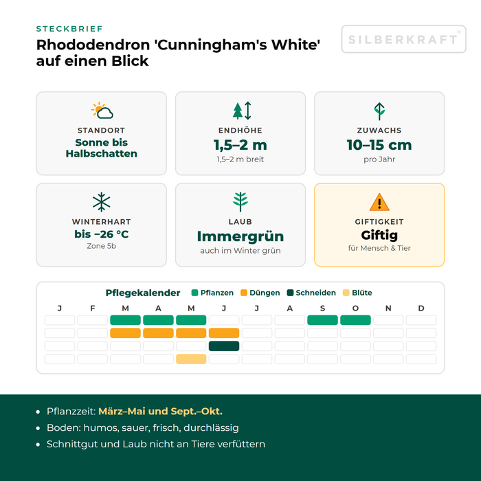 Steckbrief Rhododendron 'Cunningham's White': Standort Sonne bis Halbschatten, Endhöhe 1,5–2 m, Zuwachs 10–15 cm pro Jahr, winterhart bis −26 °C – mit Pflegekalender