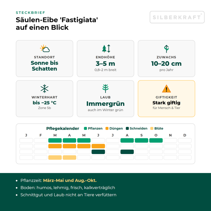 Steckbrief Säulen-Eibe 'Fastigiata': Standort Sonne bis Schatten, Endhöhe 3–5 m, Zuwachs 10–20 cm pro Jahr, winterhart bis −25 °C – mit Pflegekalender