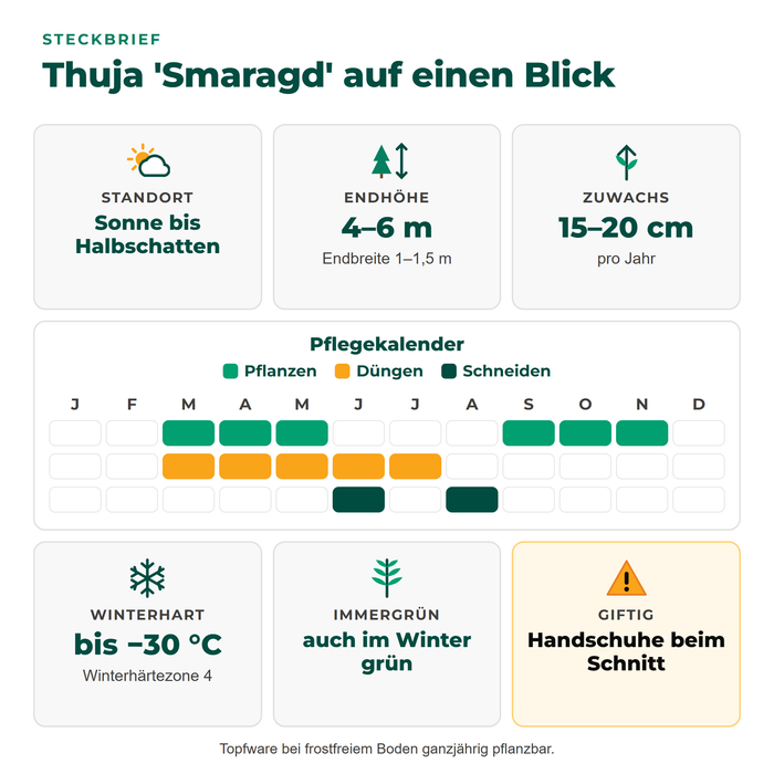 Steckbrief Thuja 'Smaragd': Sonne bis Halbschatten, 4–6 m hoch, 15–20 cm Zuwachs pro Jahr, winterhart bis −30 °C, giftig, mit Pflegekalender
