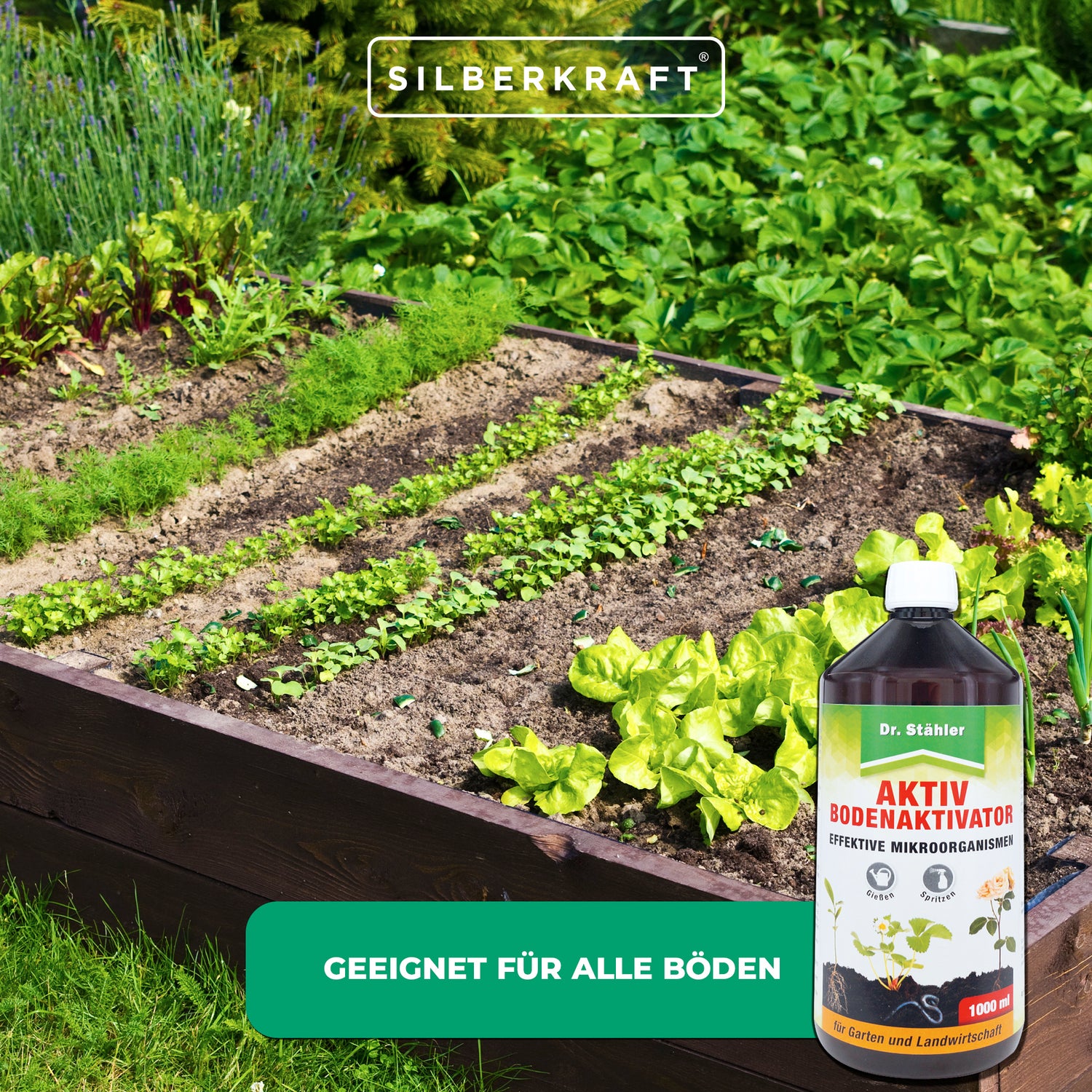Aktiv Bodenaktivator - Effektive Mikroorganismen für ein gesundes Bodenmilieu - Silberkraft