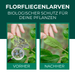 Florfliegenlarven gegen Blattläuse, Spinnmilben, Thripse, weiße Fliegen - Silberkraft