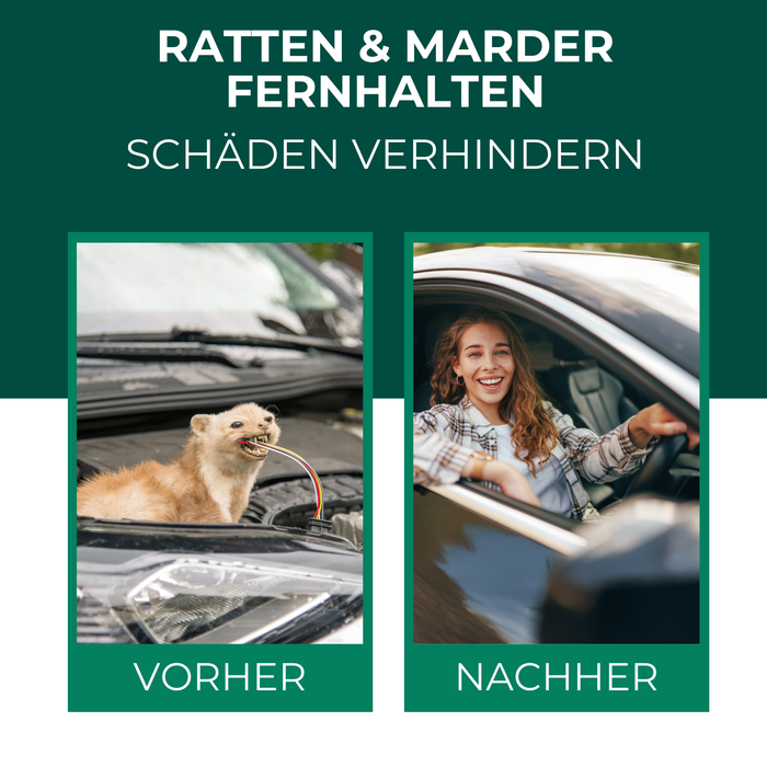 Ratten, Marder & Nager Ex Granulat - Silberkraft