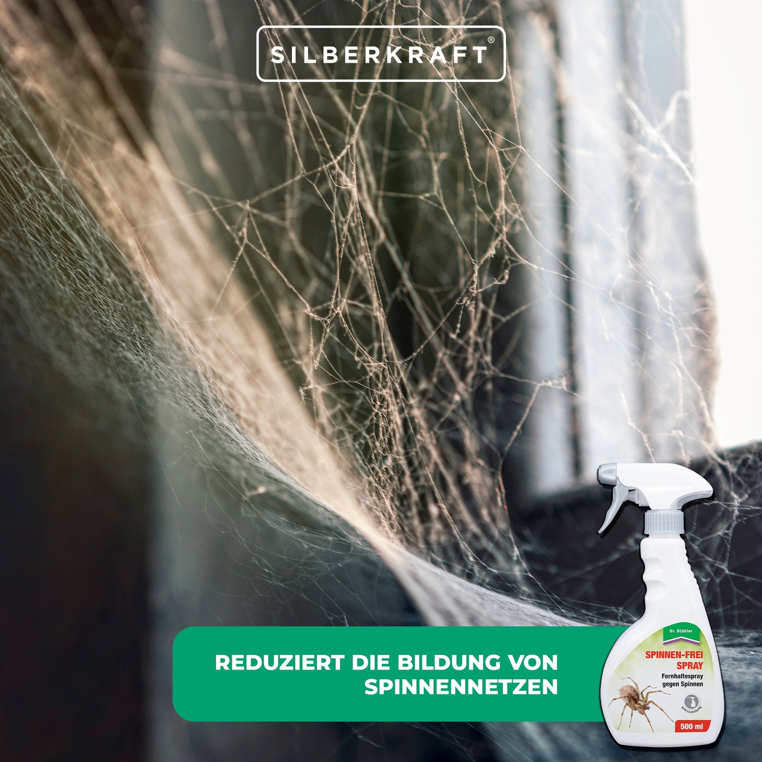 Spinnen-Frei Spray: Wirksames Vertreibungsspray gegen Spinnen - Silberkraft