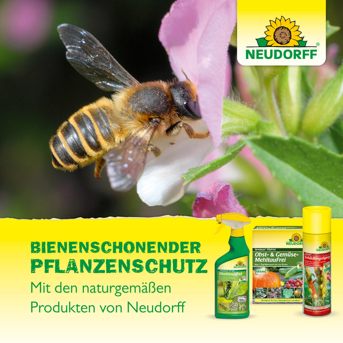 Spruzit NEEM GemüseSchädlingsfrei