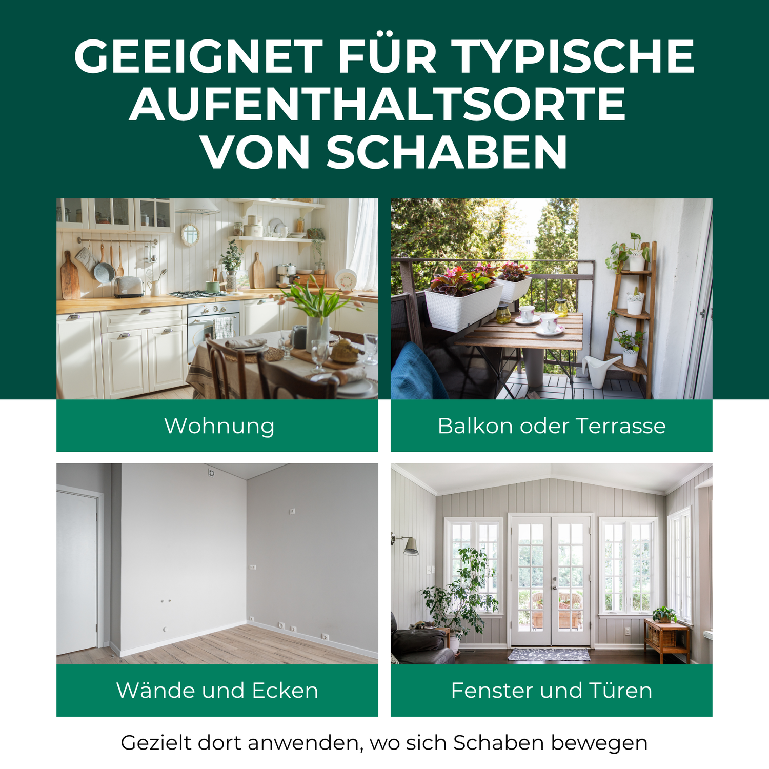 3. Silberkraft-Schabenspray Kakerlaken 500ml Einsatzbereiche