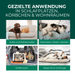 Einsatzbereiche des Floh Sprays in Wohnräumen – Sofa, Teppich, Tierkorb und Umgebung
