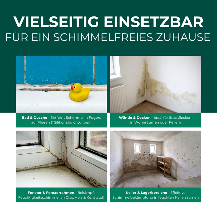 Schimmelentferner / Schimmelspray mit E-Book - Gegen Schimmel & Stockflecken - Silberkraft