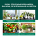 Gelbfalle Gelbtafeln Gelbsticker 12 Stück gegen Fruchtfliegen, Trauermücken, uvm. - Silberkraft