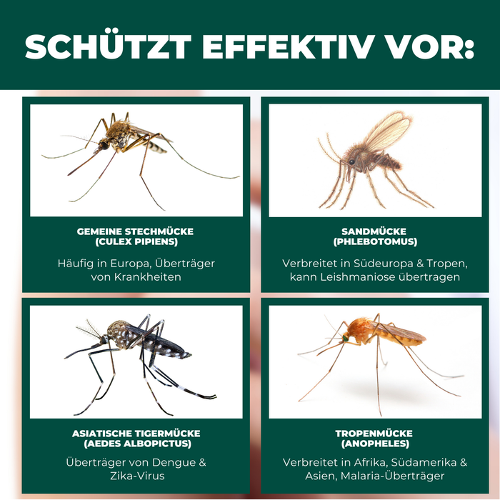 Moskitonetz Kinderwagen & Buggy - universeller Insektenschutz für Babys unterwegs - Feinmaschiges Netz, leicht & reisetauglich - Silberkraft