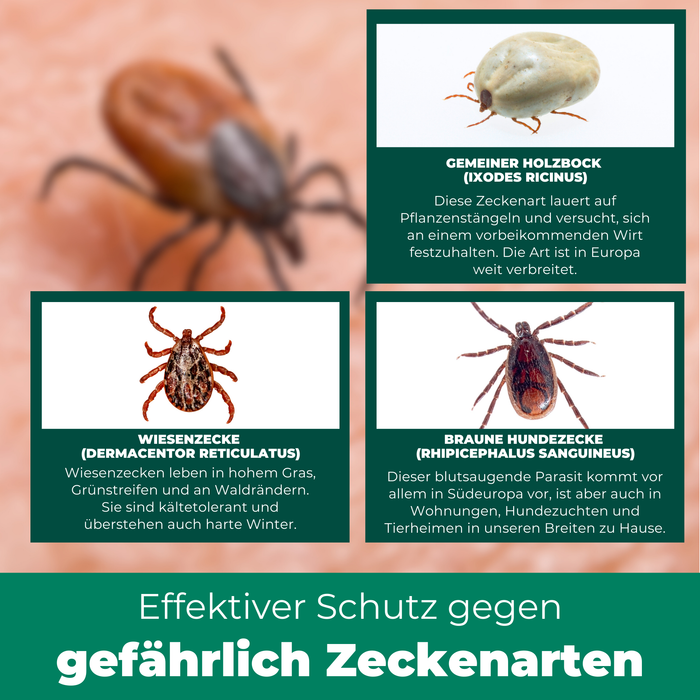 Zeckenfrei-Set - Dein Duo für Schutz & Entfernung - Silberkraft