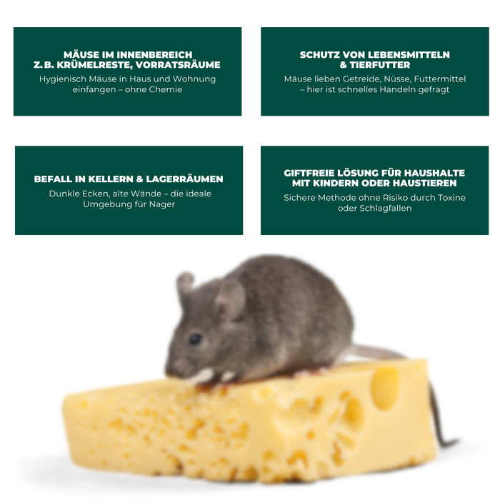 Lebendfalle für Mäuse aus Draht - Mäusefalle - tierfreundliche Alternative zu Schlagfallen und Giftköder - Silberkraft