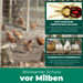 Milbenspray Hühner - Silberkraft