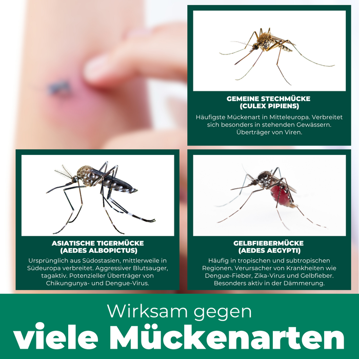Mückenspray für Kinder & Babys ab dem 6ten Monat - Silberkraft