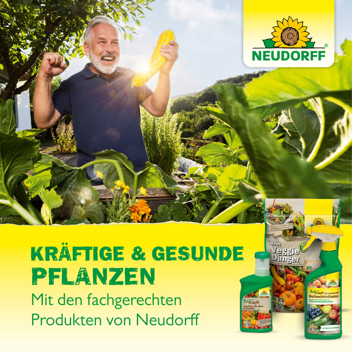 Neudorff Neudofix WurzelAktivator - Silberkraft