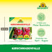 Neudorff KirschmadenFalle - Silberkraft