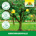 Neudorff KirschmadenFalle - Silberkraft