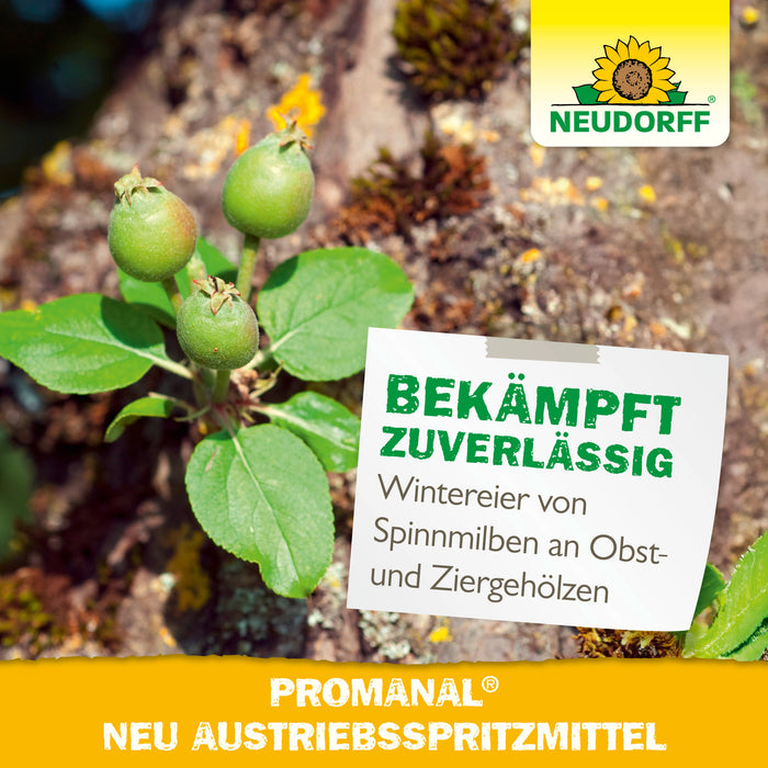 Neudorff Promanal Neu Austriebsspritzmittel - Silberkraft