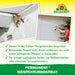 Neudorff Permanent WespenTURBOSpray - Silberkraft