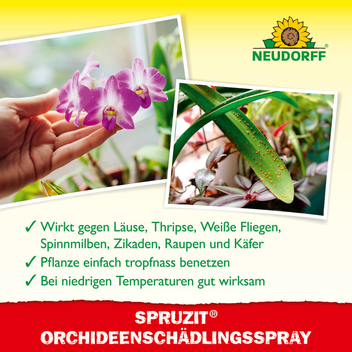 Neudorff Spruzit OrchideenSchädlingsSpray (auch gegen Thripse & Weiße Fliege) - Silberkraft