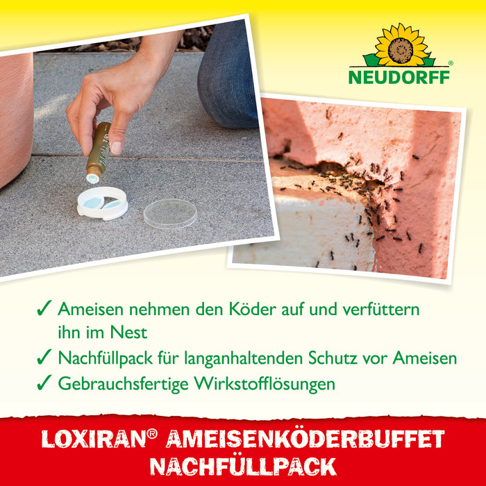 Neudorff Loxiran Ameisenköderbuffet Nachfüllpack - Silberkraft