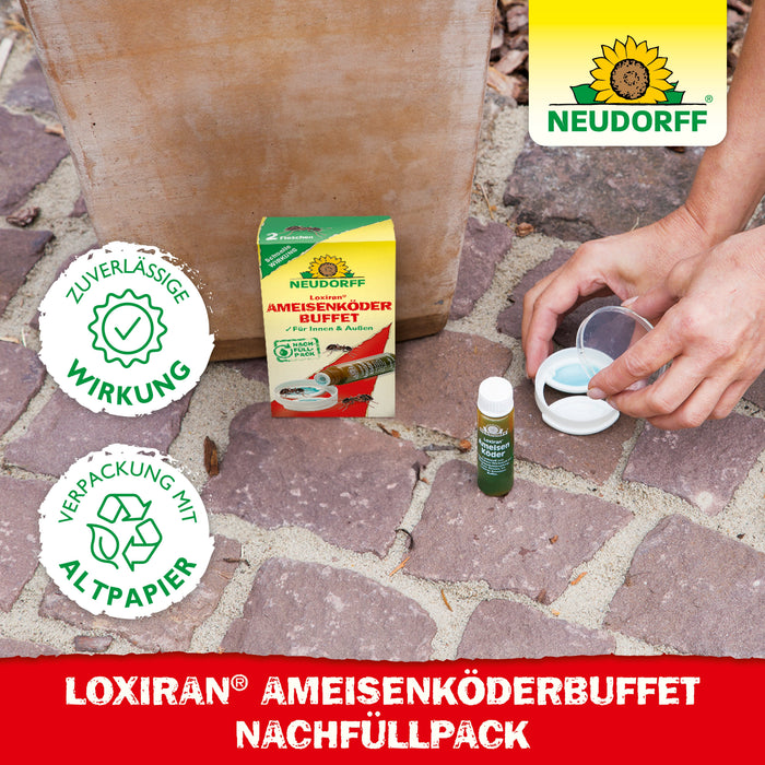 Neudorff Loxiran Ameisenköderbuffet Nachfüllpack - Silberkraft