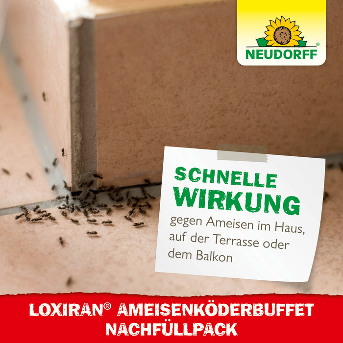 Neudorff Loxiran Ameisenköderbuffet Nachfüllpack - Silberkraft