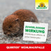 Neudorff Quiritox WühlmausFalle - Silberkraft