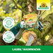 Neudorff Lauril Baumwachs - Silberkraft