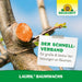 Neudorff Lauril Baumwachs - Silberkraft