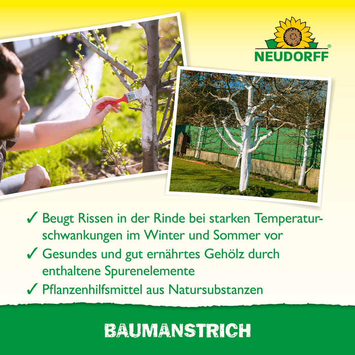 Neudorff Baumanstrich - Silberkraft