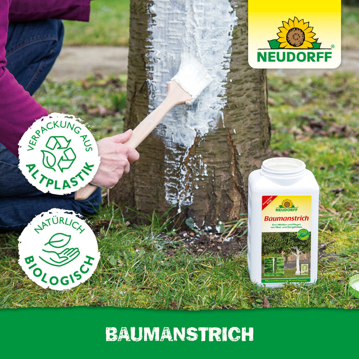 Neudorff Baumanstrich - Silberkraft