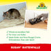 Neudorff Sugan RattenFalle - Silberkraft
