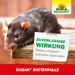 Neudorff Sugan RattenFalle - Silberkraft